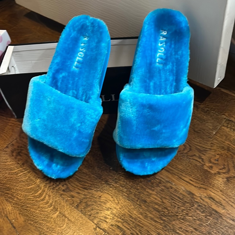 Rasolli slides furry